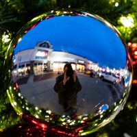 Profile picture for Lisa Morales