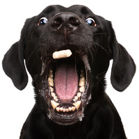 Profile picture for eric krouse