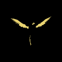 Profile picture for David Avila