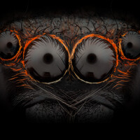 Profile picture for Morten Aagaard