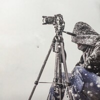 Profile picture for Matt Simpson