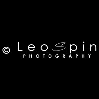 Profile picture for Leo Spin