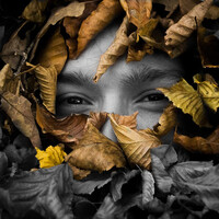 Profile picture for Ilyan McCann