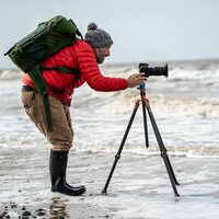 Profile picture for mark mc neill