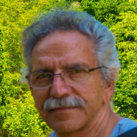 Profile picture for JOE DEE