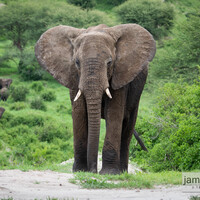 Profile picture for James Parker