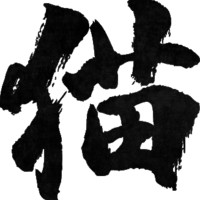 Profile picture for Ty Levey