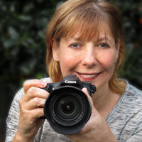Profile picture for Janet Hopkinson