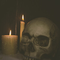 Profile picture for David Teal