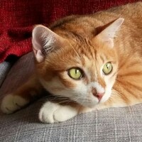 Profile picture for Wolfgang Post