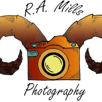 Profile picture for Richard Mills