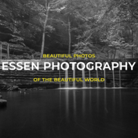 Profile picture for William Van Essen