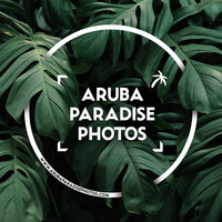 Profile picture for Jeroen Lucas