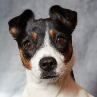 Profile picture for Barry Stewart