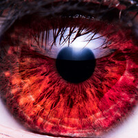 Profile picture for Andreas Meyer