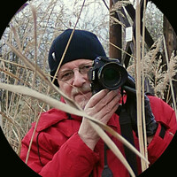 Profile picture for Gyorgy Szonyi