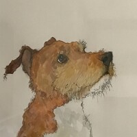 Profile picture for Mark MC