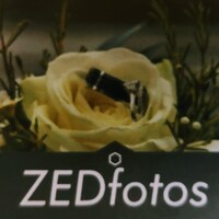 Profile picture for Patrick Zed