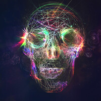 Profile picture for Ross Allen