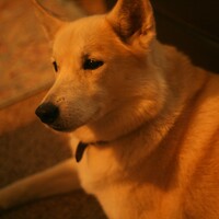 Profile picture for Sadie Bree