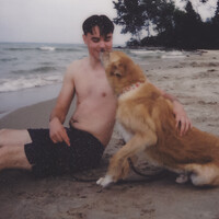 Profile picture for Stephen Schafer