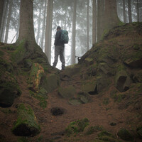 Profile picture for Mark Edridge