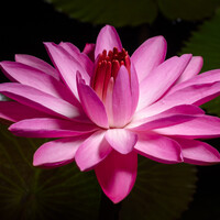Profile picture for Jennifer Jung