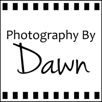 Profile picture for Dawn Withers