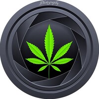Profile picture for Hossein Sedghi