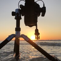 Profile picture for Louis DiPaola
