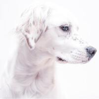 Profile picture for Jenny Mila tanghe