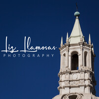 Profile picture for Lizbeth Llamosas