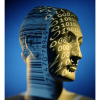 Profile picture for Florbela Pereira
