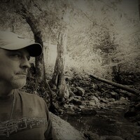 Profile picture for Michael Warner