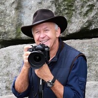 Profile picture for stan turkel