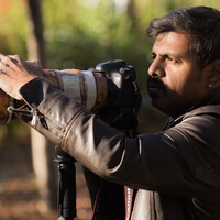Profile picture for jayaprakash ramalingam