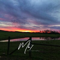Profile picture for Michelle Hamby