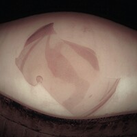 Profile picture for juanjo berniz