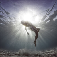 Profile picture for Tim Campbell