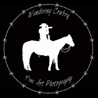 Profile picture for Tony Ripley