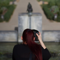 Profile picture for Niccole Dunn