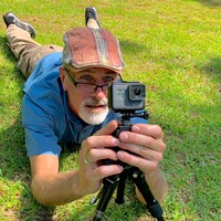 Profile picture for NEIL BRANCH
