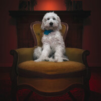 Profile picture for Julian Turton