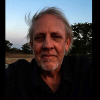Profile picture for Steve Gunn