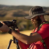 Profile picture for Iacopo Brunetti