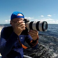 Profile picture for Nico Chaves
