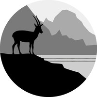 Profile picture for Yaniv Eliash
