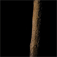 Profile picture for Phillip Collier