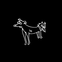 Profile picture for Graeme Haunholter