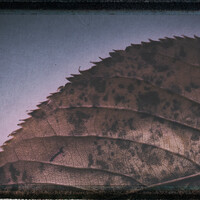 Profile picture for Paul Robertson